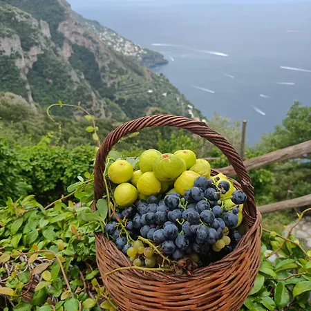 Appartement Antica Macina Positano