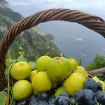 Antica Macina Appartement Positano