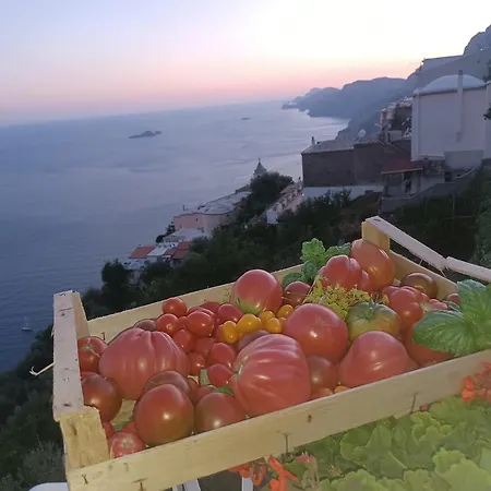 安提卡马希纳别墅 *