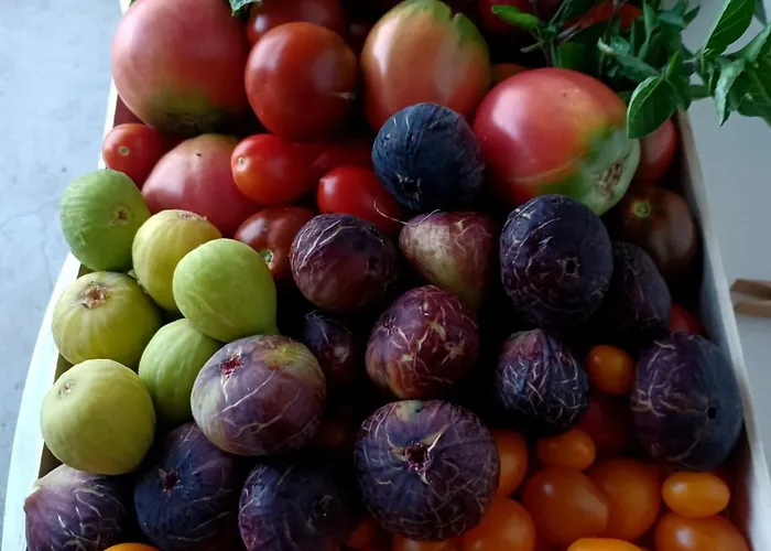 Antica Macina דירה פוזיטנו