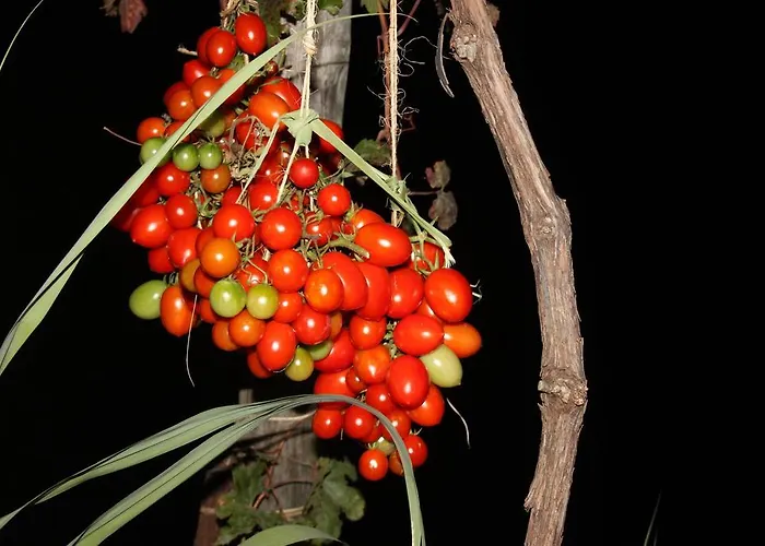 Antica Macina פוזיטנו