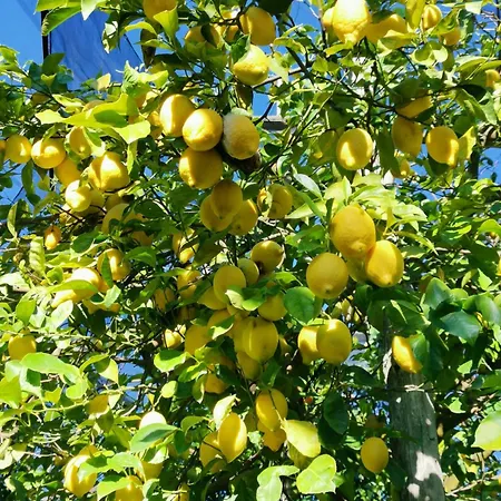 Antica Macina