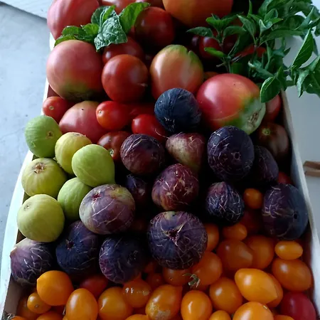 Antica Macina شقة بوسيتانو