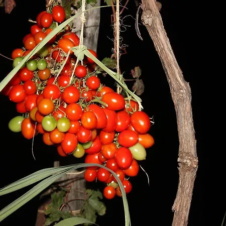 Antica Macina Позитано